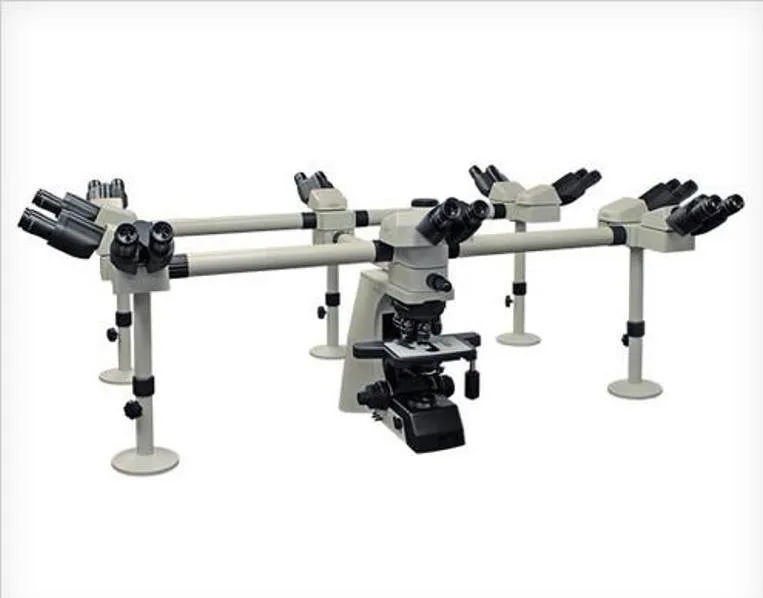 Deca Head Microscope