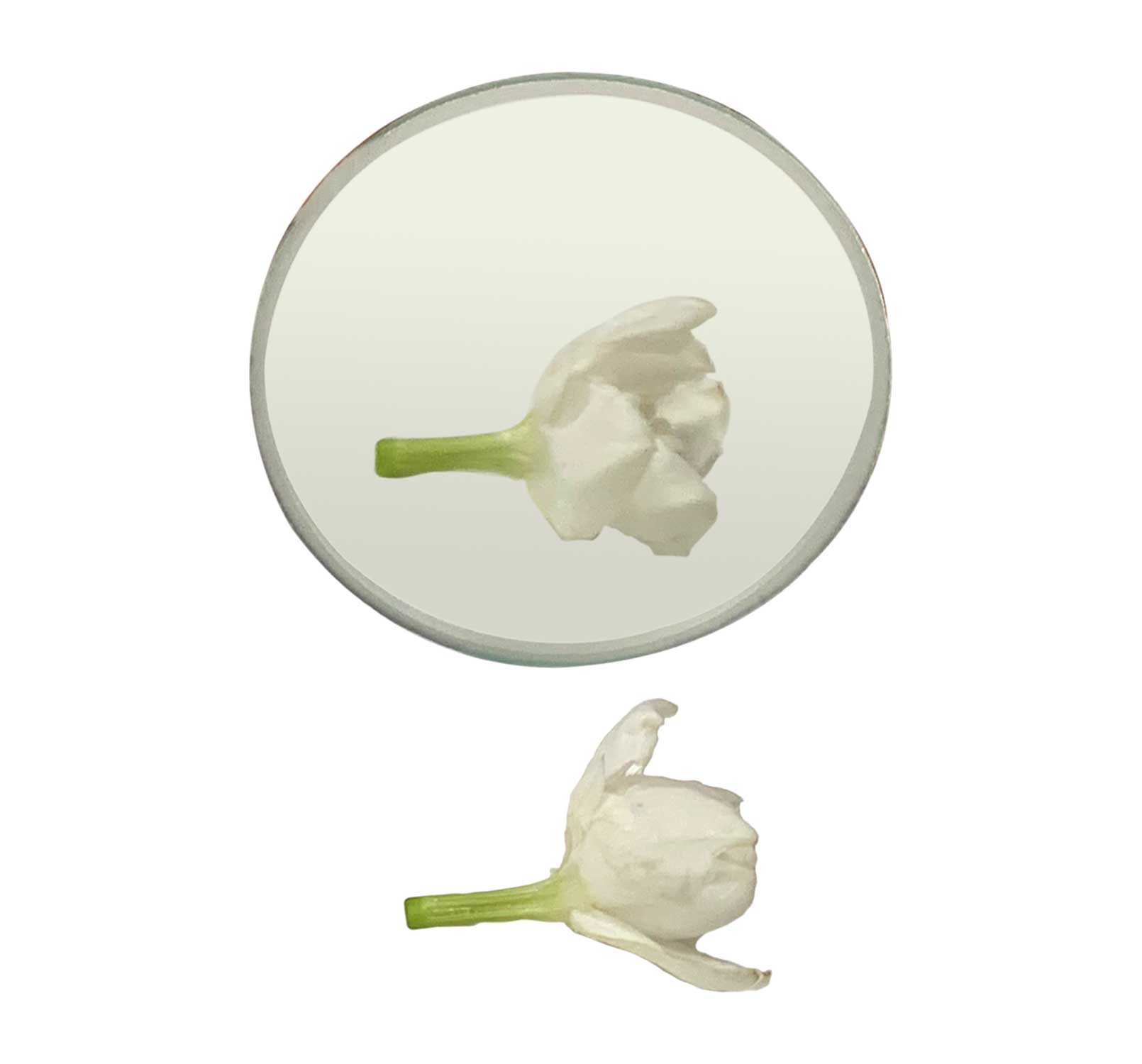 OPT-1 CONCAVE MIRRORS, GLASS, DIAMETER:50MM