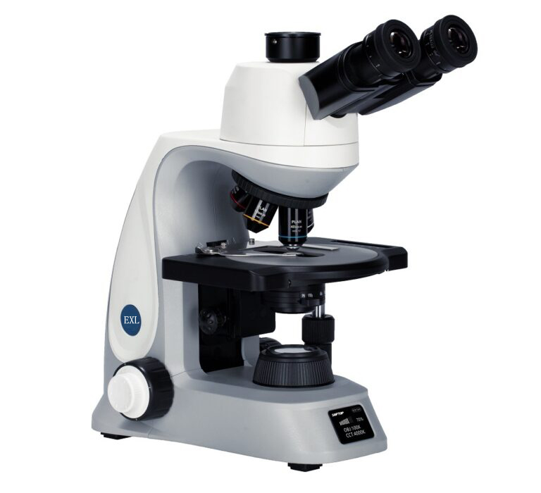 Advanced Upright Microscope System for Brightfield & Fluorescence Imaging