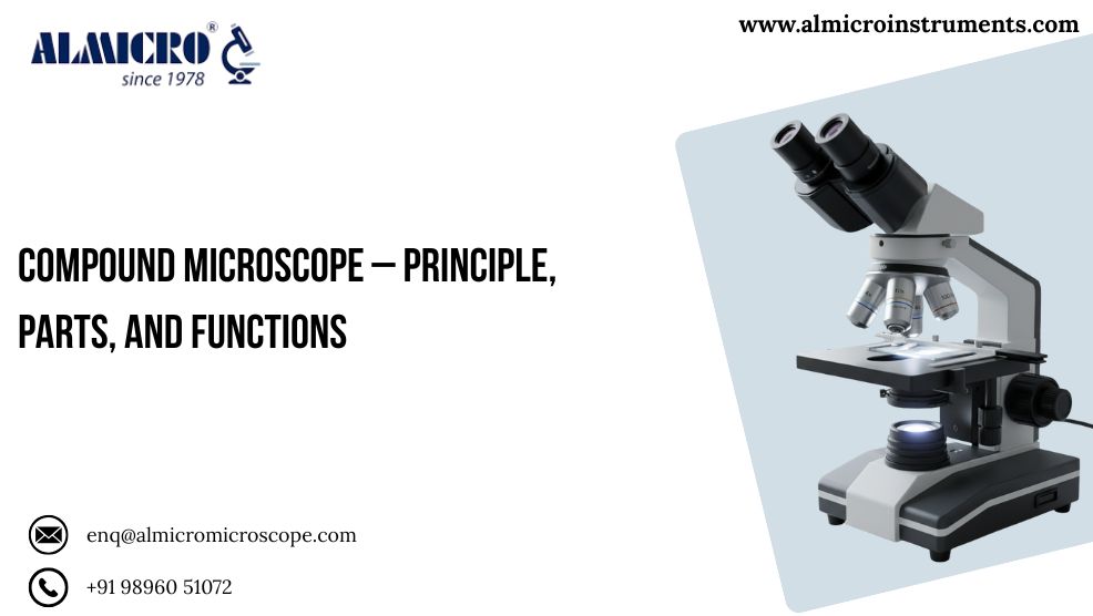 Compound microscope showing principle, parts, and functions
