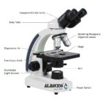 Types of Microscope | Complete Guide with Uses & Examples