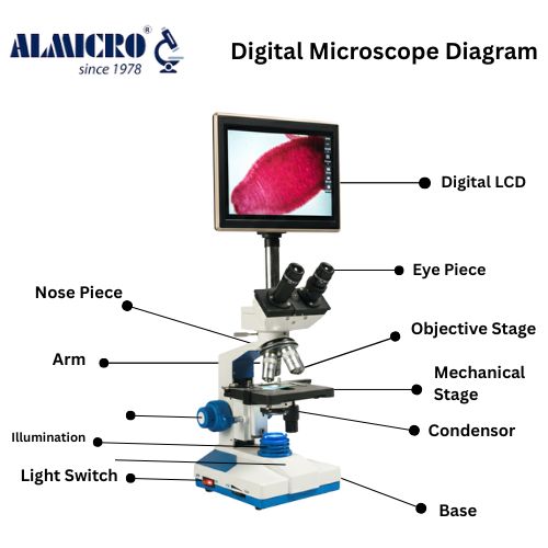 Digital Microscope Diagram